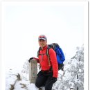 한일맛집 이미지