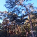 GS25 북한산우이 네이버블로그