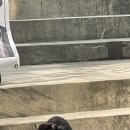 2025 1월 결산