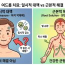 한나한의원 네이버블로그