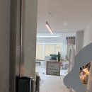 둥개둥개 | 라뭉스튜디오, 대전 반려견 사진관 후기 :D