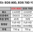 DSLR 카메라 캐논 80D 첫 사용 솔직한 후기