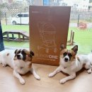 베리굿덴탈랩 | 개모차추천@휴대가 간편한 일체형개모차 버기랩 강아지 유모차 언박싱