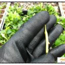 녹지농장 이미지