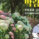 박람회길 이미지