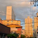 효자2동주민센터 | 전주 효자동 현지인 맛집 전주완산한우곱창 여러번 또간집