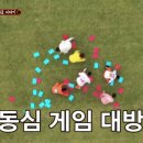 나나포차 이미지
