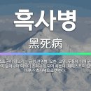 간증: 1486. 가난한 교회 은퇴목사 17세기 흑사병으로 죽어가는 수많은 시체를 맨손으로 만져도 흑사병균이 타죽는 이유 이미지