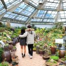 아침고요 이미지