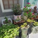 동이아구찜 이미지