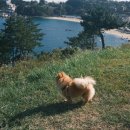 장호주유소(관광랜드) 이미지