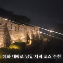 퓨전게임장 | 혜화동역 대학로 데이트 코스 추천 저녁 당일치기 여행 맛집 카페 술집 산책 낙산공원 주차 야경