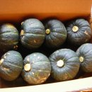 건이네 농장 이미지