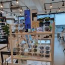 세컨페이스 서귀포점 | 제주에서 안경 맞추기 :D 세컨페이스 서귀포점