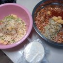 수제만두 이미지