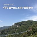 원주장애인보장구센터 | 원주 여행 필수 코스 <소금산 그랜드밸리 출렁다리> 매표 방법 시간 웨이팅 후기