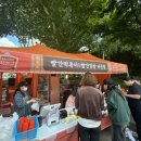 극장통길 (자매분식) | [대구] 2025 떡볶이페스티벌 실시간 솔직 후기 &amp; 떡볶이5가지 추천!! (+주문꿀팁!)