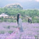 해변이 아름다운 구시포 노을캠핑장 솔직후기 + 근처 관광지, 전북 고창 구경할 곳 추천