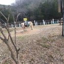 송산목장 이미지