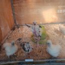 우진아쿠아 | 김제 아이와 가볼만한곳/실내체험 "단짠아쿠아"