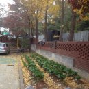 십정119안전센터 이미지