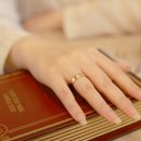 엘도라도시티 이미지