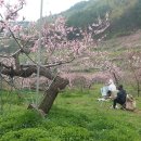 사곡2리 이미지