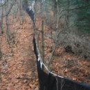 원창5리 이미지