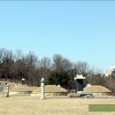 최혼 선생 묘 이미지