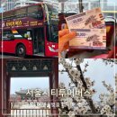 남산3리마을회관 | 서울여행 서울시티투어버스 도심고궁남산코스 벚꽃 데이트
