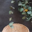 라탄 & 마크라메 생활공예 이미지