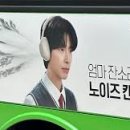 테라헤어 - 춘천시 | 테라헤어