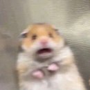 엘르메디여성의원 이미지