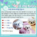 아이럽뽀