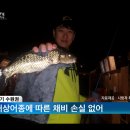 수원실내낚시터 이미지