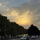 지족광장(다리밑) | 포르투 1일차 Muro do Bacalhau 솔직후기, 히베이라 광장 구경, 나타스윗나타(Nata sweet nata)