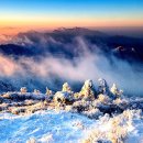 내려놓음 이미지