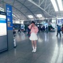 박수세번시작 Daum카페