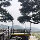 황룡강펜션게스트하우스 네이버블로그
