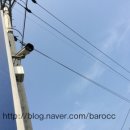 성환자동차공업사 네이버블로그