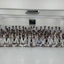 킹덤주짓수 Daum카페
