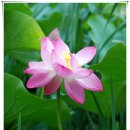 덕진마을 이미지