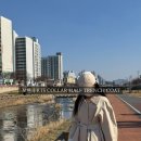 품기 | 봄트렌치 | 모한 칼라하프트렌치코트 착용샷 후기