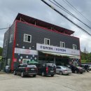 파파 모터스 이미지