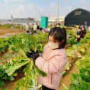 서울 2농장 이미지