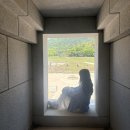 러블리찡오건어물 | [부여 익산여행후기] 자차로 이동한 부여-익산 여행|익산야행후기ㅣ미륵사지ㅣ