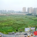 호수공원10로 이미지