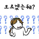 스테이션디테일링손세차장 이미지