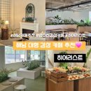 해남군-10 | 해남 카페 추천 | 감성 가득한 히어리스트 방문 후기