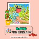 옥상텃밭-방울토마토수확🍅 이미지